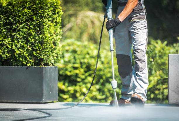 Best Soft Washing for Delicate Surfaces in Mineola, NY